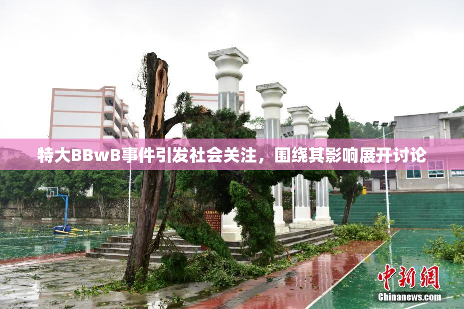 特大BBwB事件引发社会关注，围绕其影响展开讨论