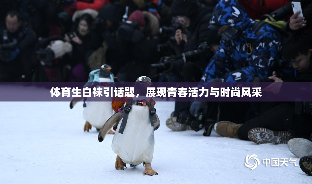 体育生白袜引话题，展现青春活力与时尚风采