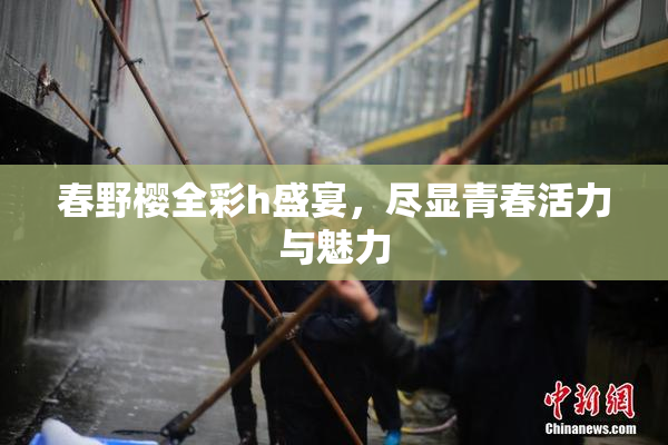 春野樱全彩h盛宴，尽显青春活力与魅力