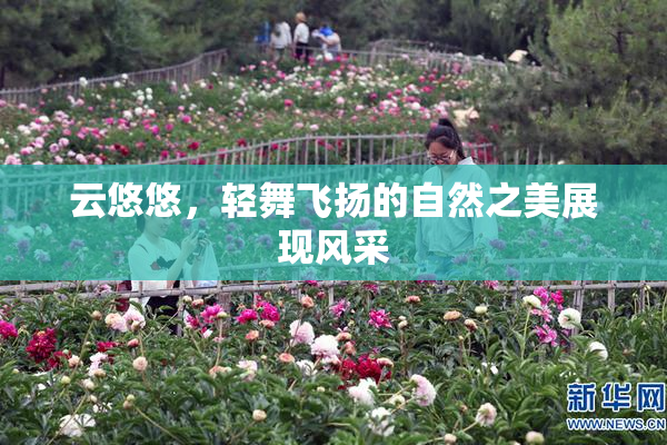 云悠悠，轻舞飞扬的自然之美展现风采
