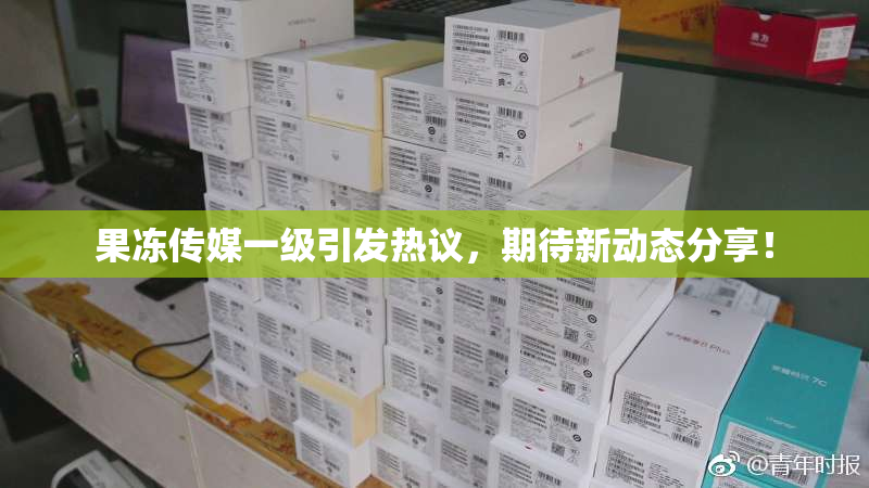 果冻传媒一级引发热议，期待新动态分享！