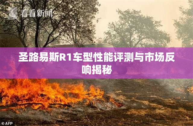 圣路易斯R1车型性能评测与市场反响揭秘