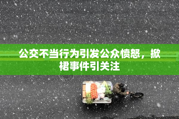 公交不当行为引发公众愤怒，掀裙事件引关注