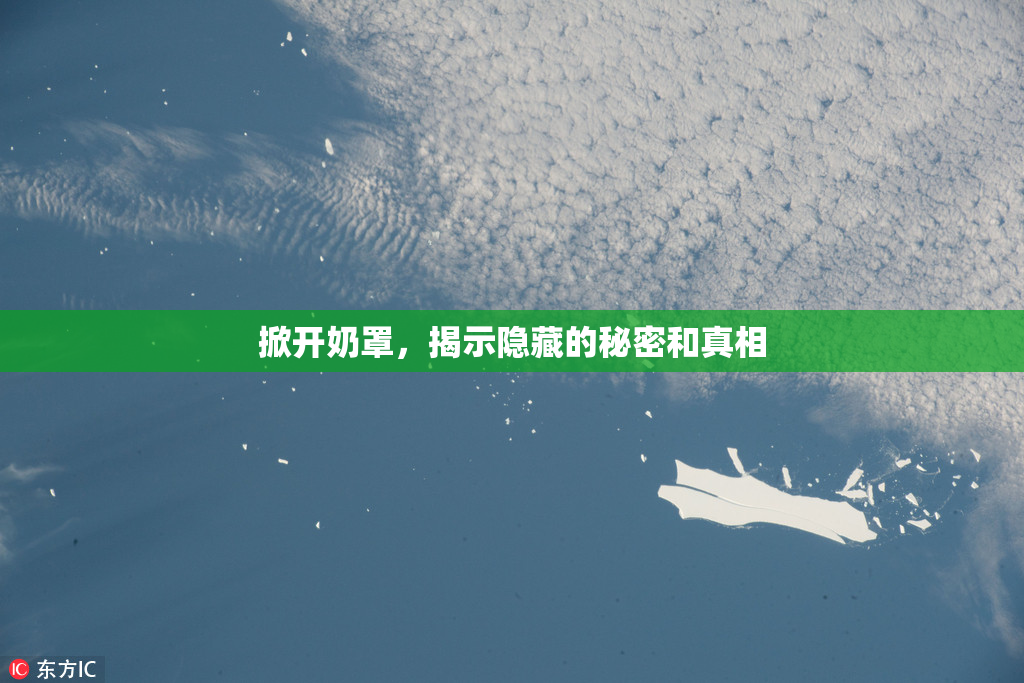掀开奶罩，揭示隐藏的秘密和真相