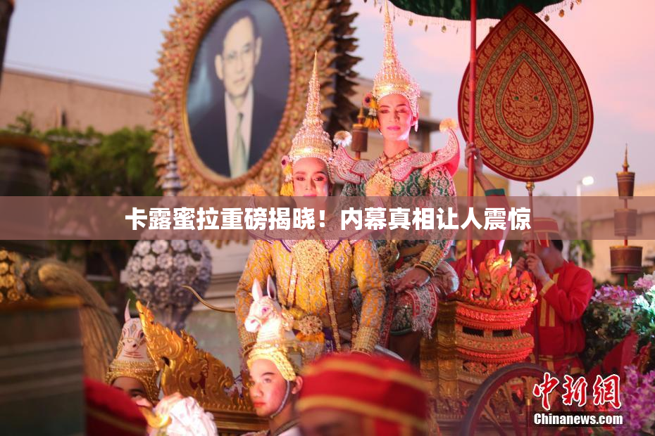 卡露蜜拉重磅揭晓！内幕真相让人震惊