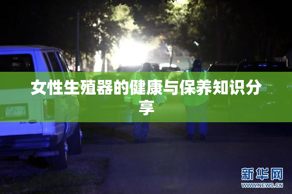 女性生殖器的健康与保养知识分享