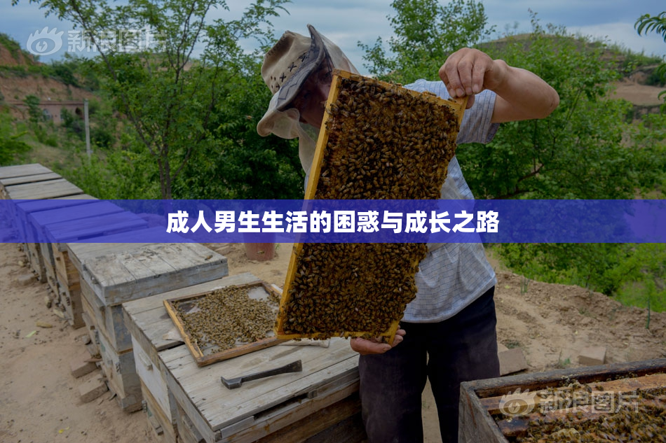 成人男生生活的困惑与成长之路