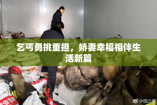 乞丐勇挑重担，娇妻幸福相伴生活新篇