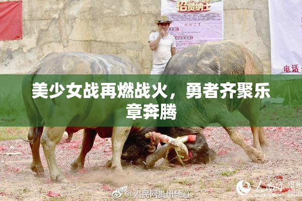 美少女战再燃战火，勇者齐聚乐章奔腾
