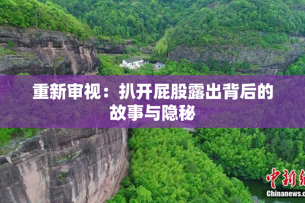 重新审视：扒开屁股露出背后的故事与隐秘