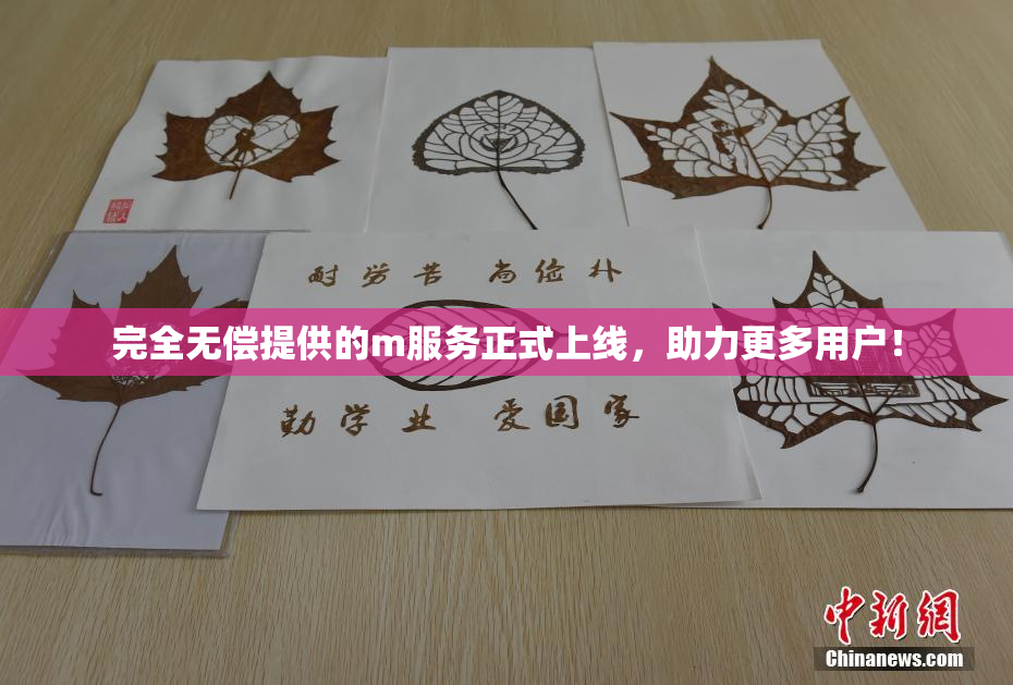 完全无偿提供的m服务正式上线，助力更多用户！