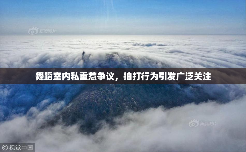 舞蹈室内私重惹争议，抽打行为引发广泛关注