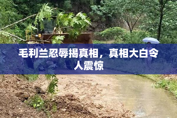 毛利兰忍辱揭真相，真相大白令人震惊