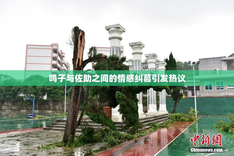 鸣子与佐助之间的情感纠葛引发热议