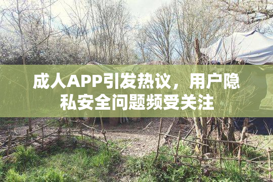 成人APP引发热议，用户隐私安全问题频受关注