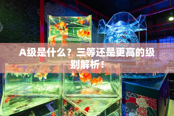 A级是什么？三等还是更高的级别解析！