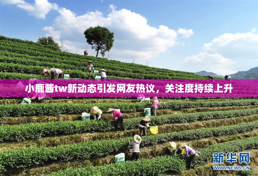 小鹿酱tw新动态引发网友热议，关注度持续上升