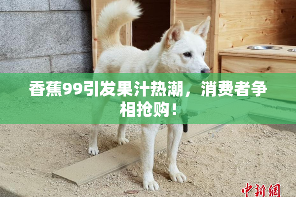 香蕉99引发果汁热潮，消费者争相抢购！