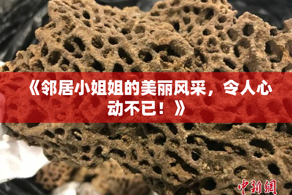 《邻居小姐姐的美丽风采，令人心动不已！》