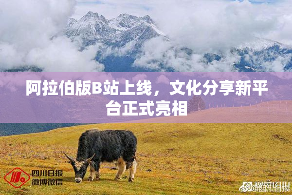 阿拉伯版B站上线，文化分享新平台正式亮相