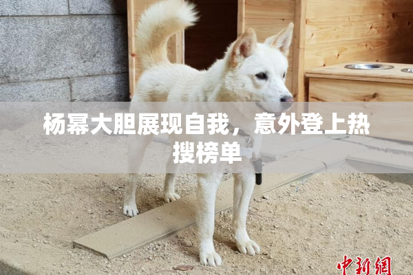 杨幂大胆展现自我，意外登上热搜榜单