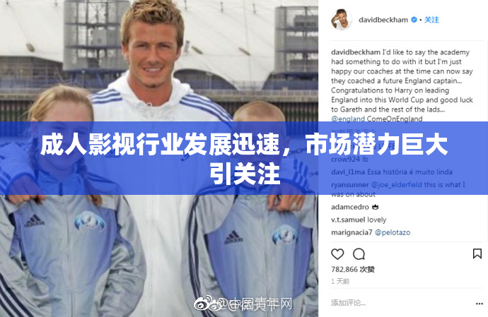 成人影视行业发展迅速，市场潜力巨大引关注
