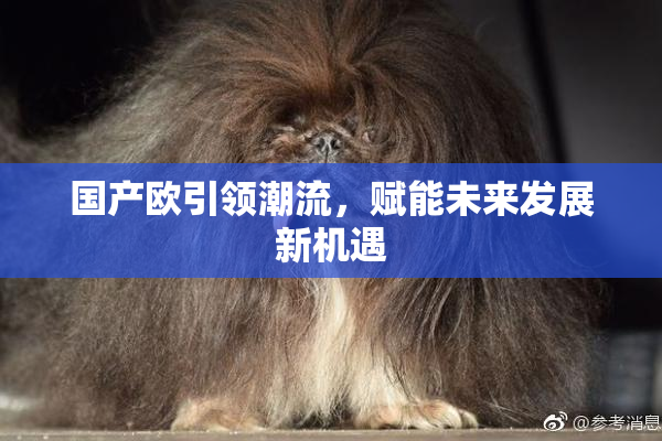 国产欧引领潮流，赋能未来发展新机遇