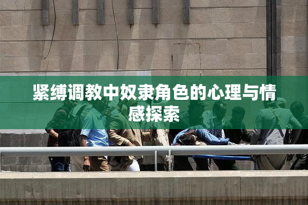 紧缚调教中奴隶角色的心理与情感探索