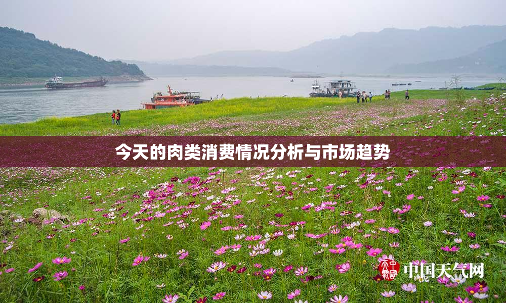 今天的肉类消费情况分析与市场趋势