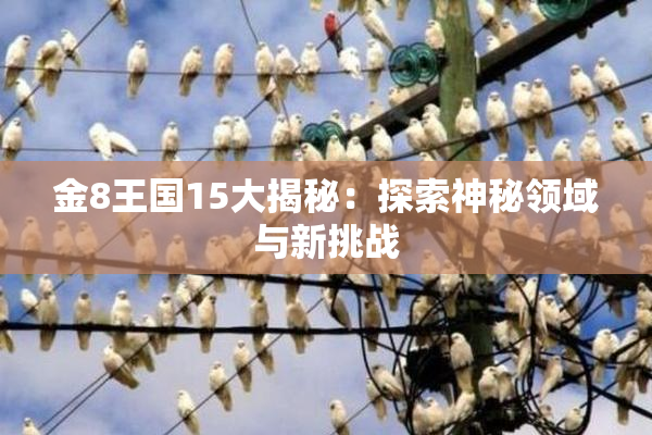 金8王国15大揭秘：探索神秘领域与新挑战