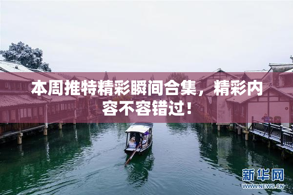 本周推特精彩瞬间合集，精彩内容不容错过！