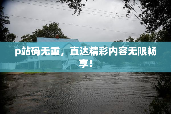 p站码无重，直达精彩内容无限畅享！