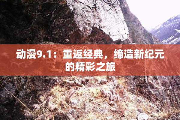 动漫9.1：重返经典，缔造新纪元的精彩之旅