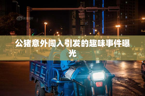 公猪意外闯入引发的趣味事件曝光
