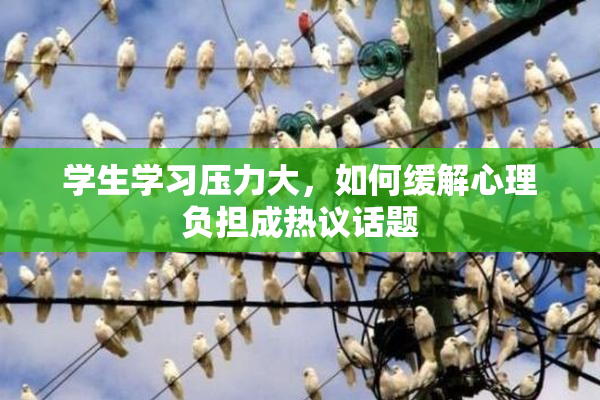 学生学习压力大，如何缓解心理负担成热议话题