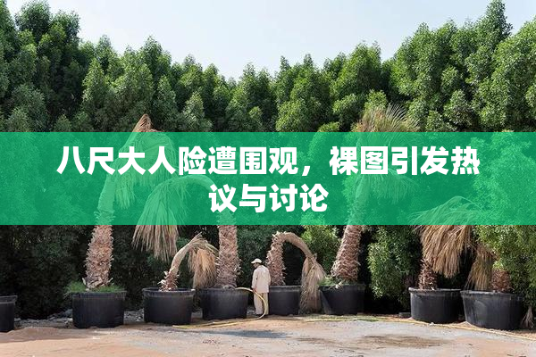 八尺大人险遭围观，裸图引发热议与讨论