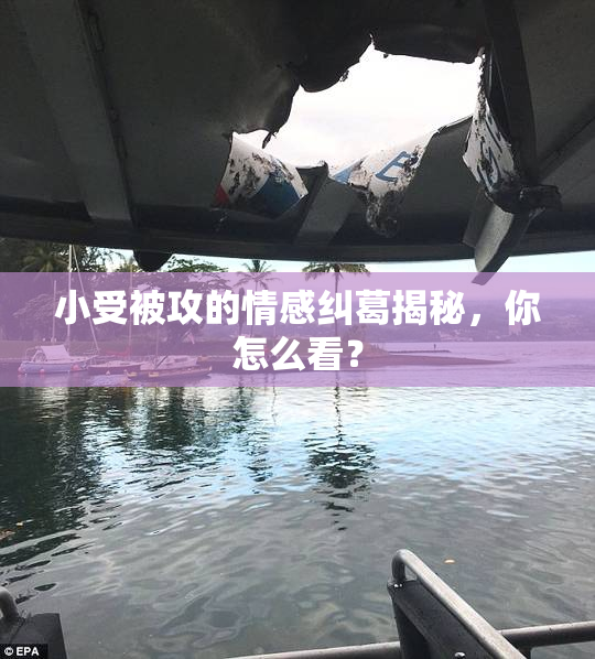 小受被攻的情感纠葛揭秘，你怎么看？