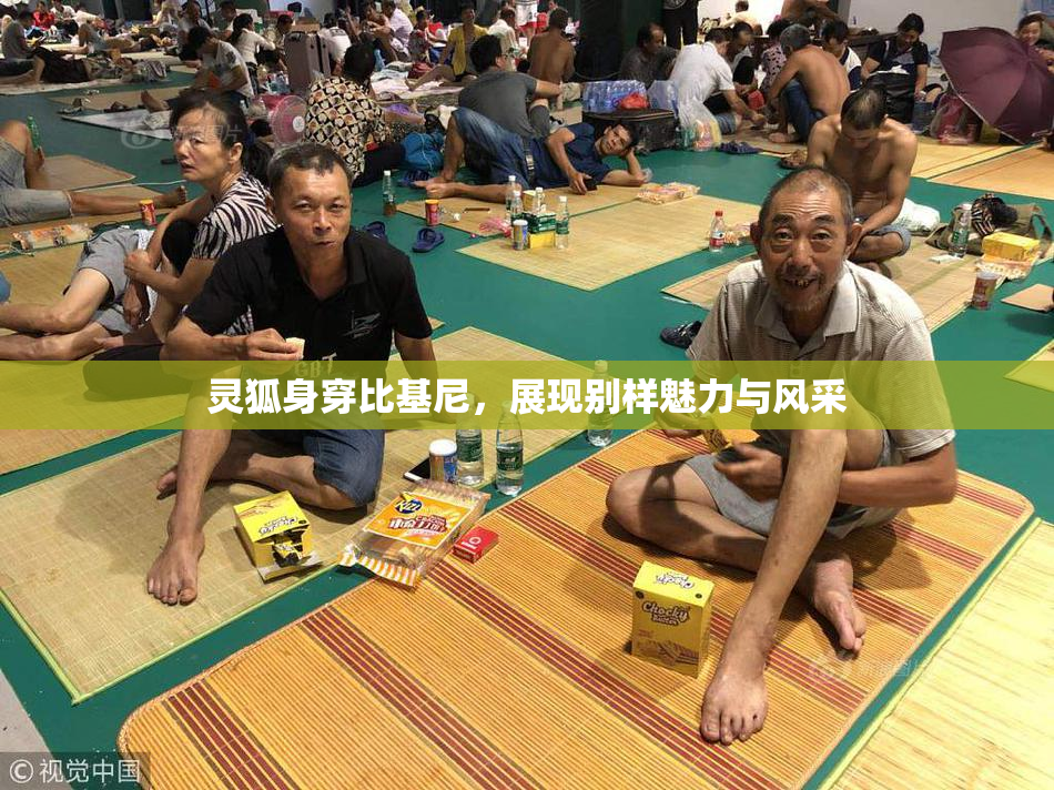 灵狐身穿比基尼，展现别样魅力与风采