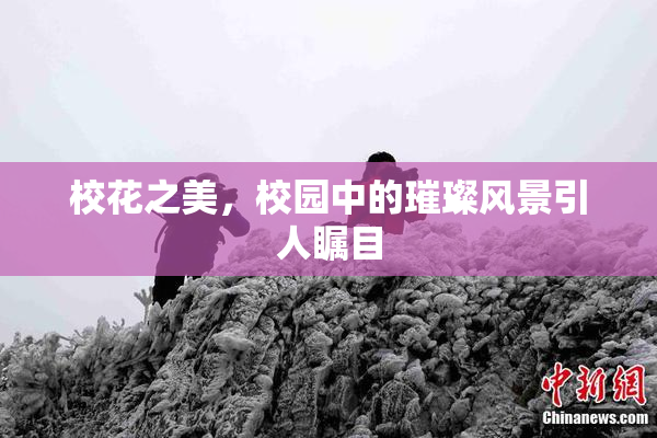 校花之美，校园中的璀璨风景引人瞩目