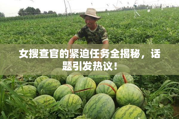女搜查官的紧迫任务全揭秘，话题引发热议！