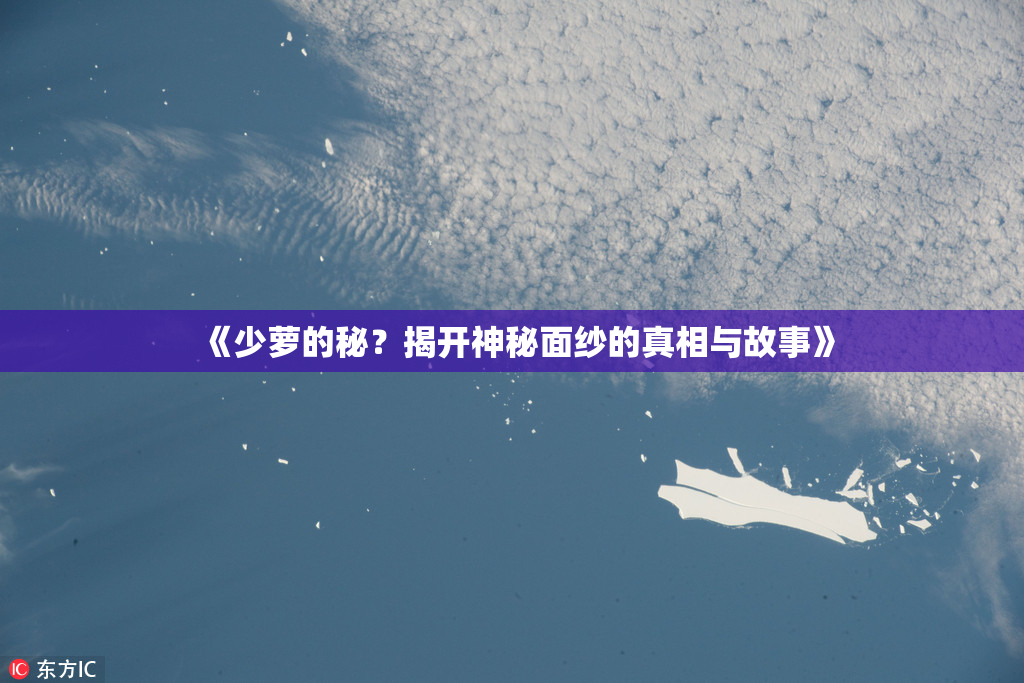 《少萝的秘？揭开神秘面纱的真相与故事》