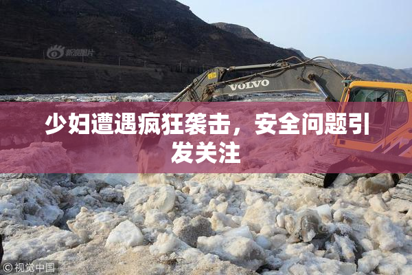 少妇遭遇疯狂袭击，安全问题引发关注