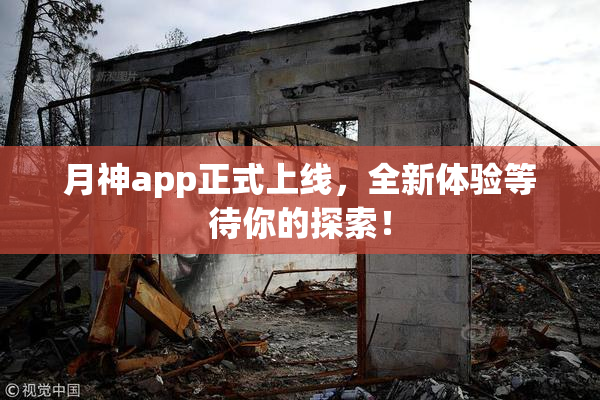 月神app正式上线，全新体验等待你的探索！