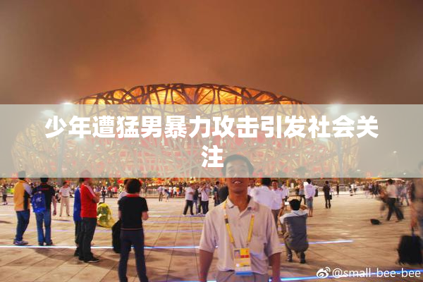 少年遭猛男暴力攻击引发社会关注
