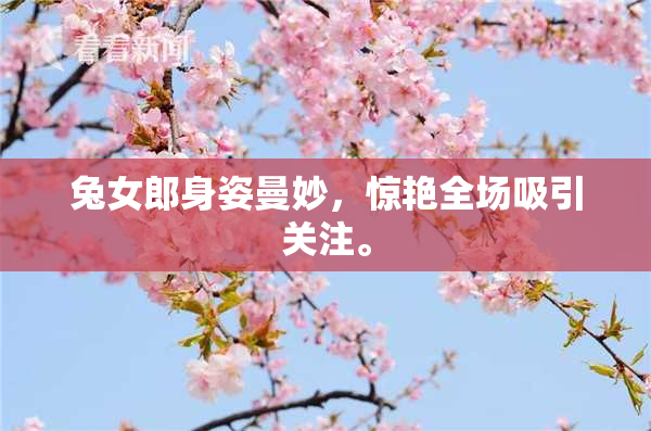兔女郎身姿曼妙，惊艳全场吸引关注。