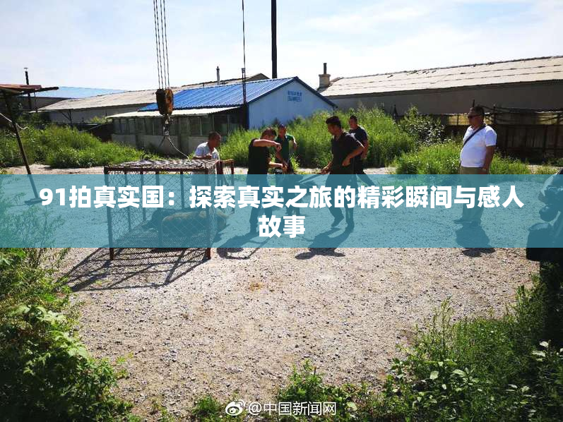 91拍真实国：探索真实之旅的精彩瞬间与感人故事