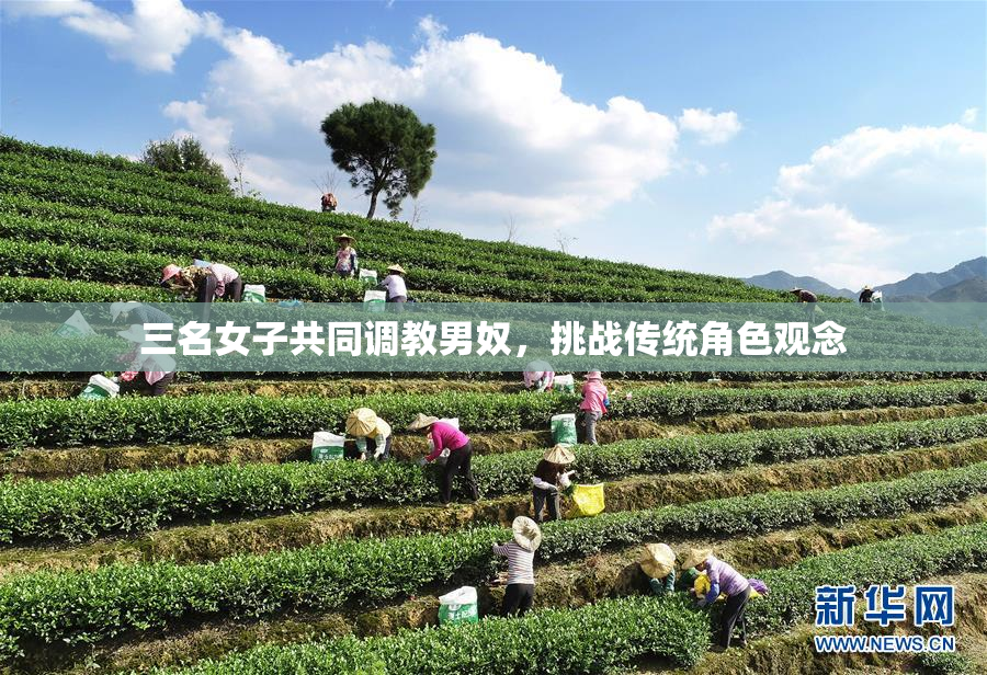 三名女子共同调教男奴，挑战传统角色观念