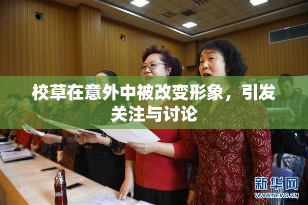 校草在意外中被改变形象，引发关注与讨论