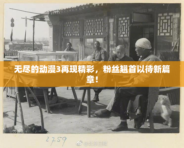 无尽的动漫3再现精彩，粉丝翘首以待新篇章！