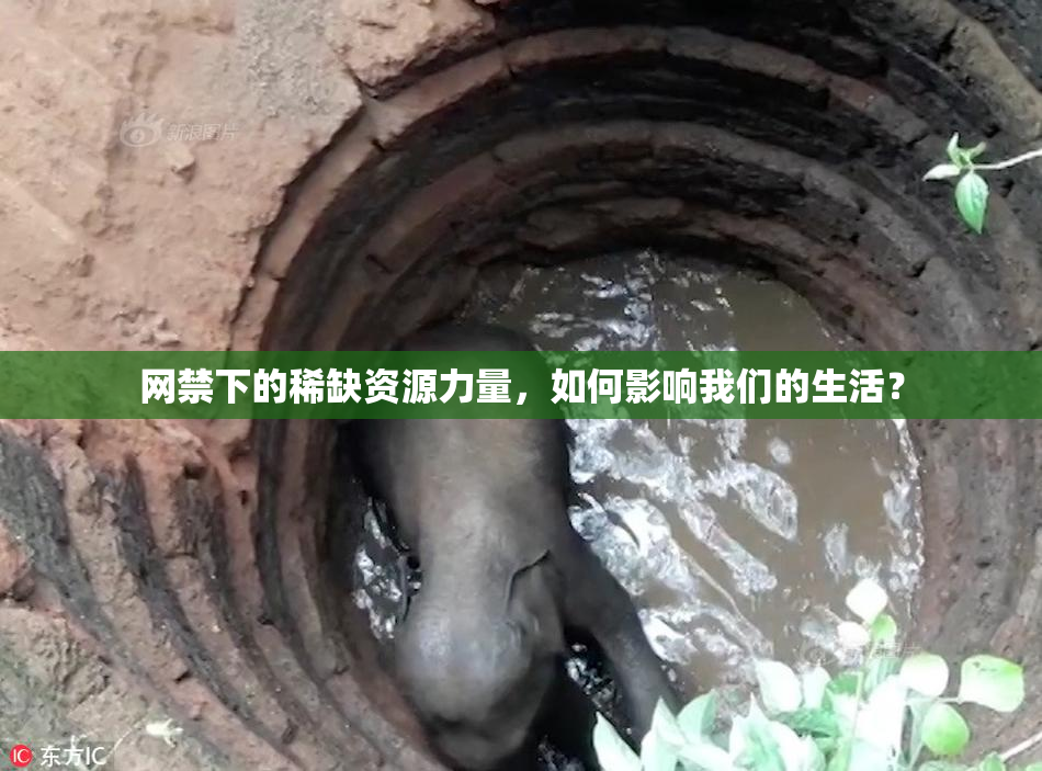 网禁下的稀缺资源力量，如何影响我们的生活？